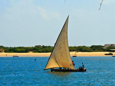 A traditional Tanzanian dhow sailing through the calm waters of Mnazi Bay-Ruvumba Estuary Marine Park, with lush mangroves in the background.