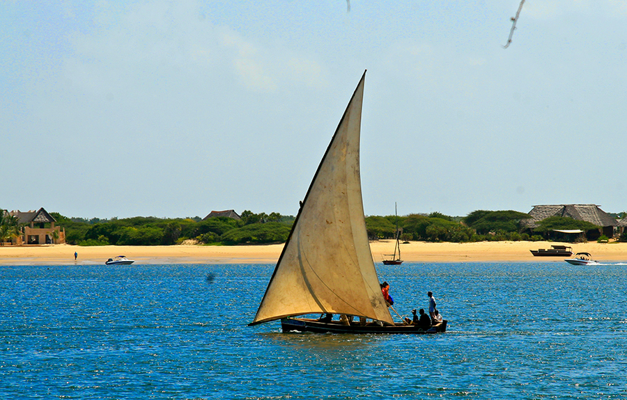 A traditional Tanzanian dhow sailing through the calm waters of Mnazi Bay-Ruvumba Estuary Marine Park, with lush mangroves in the background.