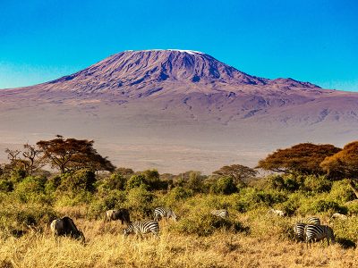 A majestic African elephant with large tusks walking across the savanna plains of Amboseli National Park, with the snow-capped peak of Mount Kilimanjaro rising majestically in the background.