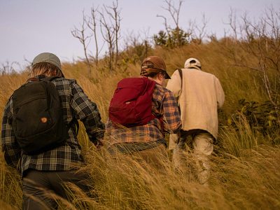 Explore Udzungwa Mountains: Hike & Discover Tanzanian Biodiversity