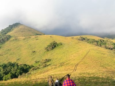 Hikers with trekking poles stand on the edge of the caldera in Mount Elgon National Park, overlooking a vast landscape of forests and valleys.