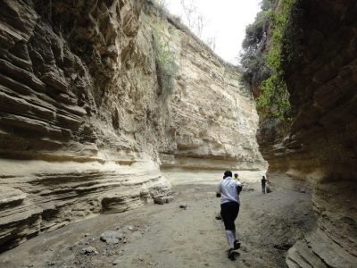 A dramatic view of Hell's Gate Gorge in Kenya, with towering cliffs, volcanic rock formations, and a herd of zebras grazing peacefully on the valley floor.