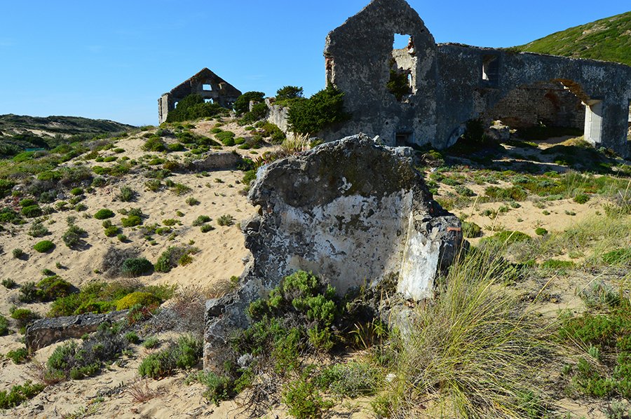 The pillar tomb at the Mnarani ruins, standing tall against the backdrop of the Indian Ocean in Kilifi, Kenya.