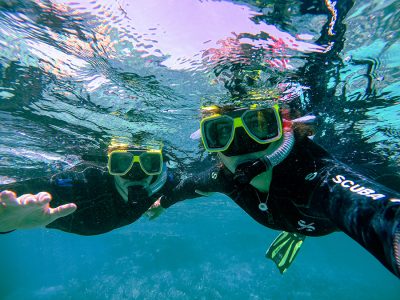 A vibrant coral reef teeming with colorful fish and sea turtles in Watamu Marine National Park, Kenya.