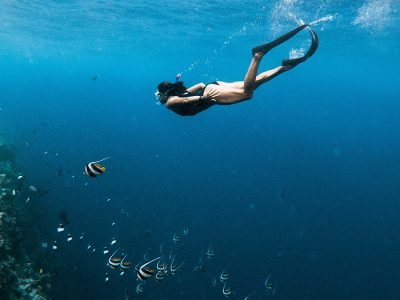 A colorful coral reef teeming with fish in Mombasa Marine National Park, with a diver exploring the underwater scene.