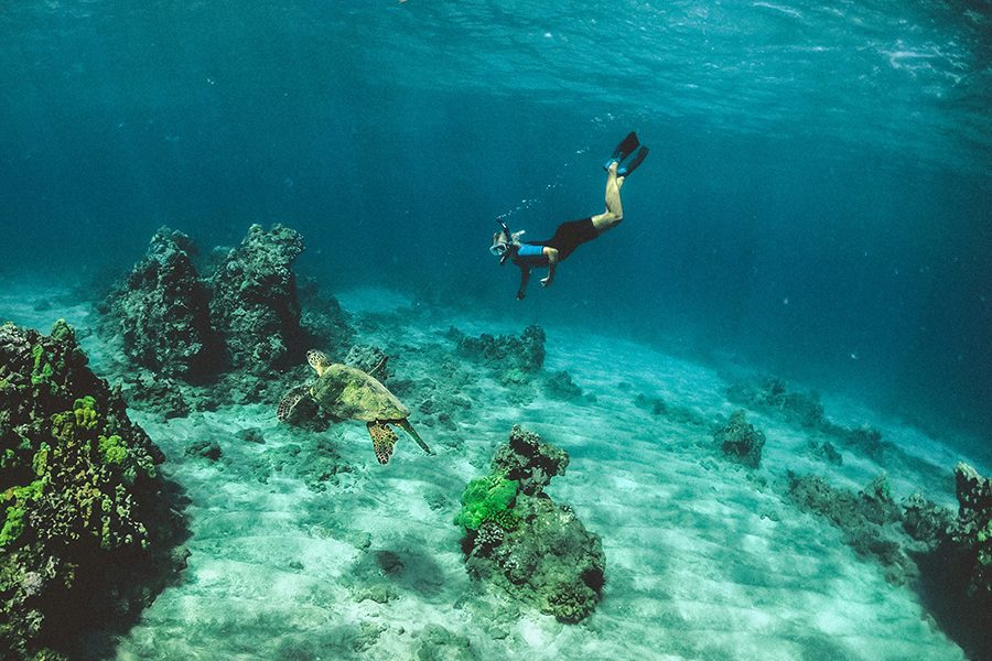 A vibrant coral reef teeming with colorful fish in Dar es Salaam Marine Reserve, Tanzania.